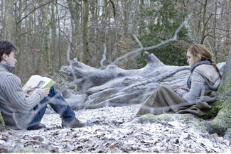 Still from Harry Potter and the Deathly Hallows - Part 1