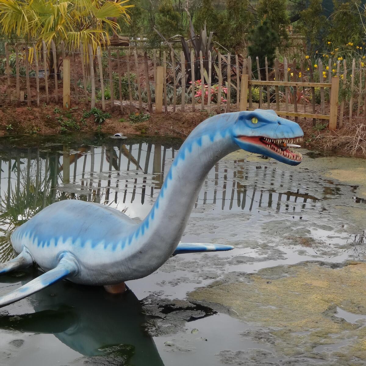Plesiosaur model