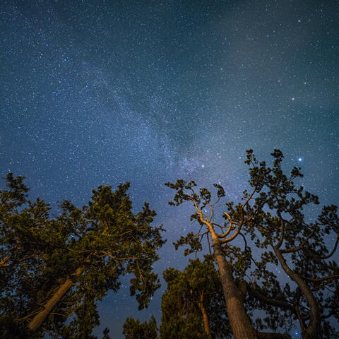 dark star-filled sky