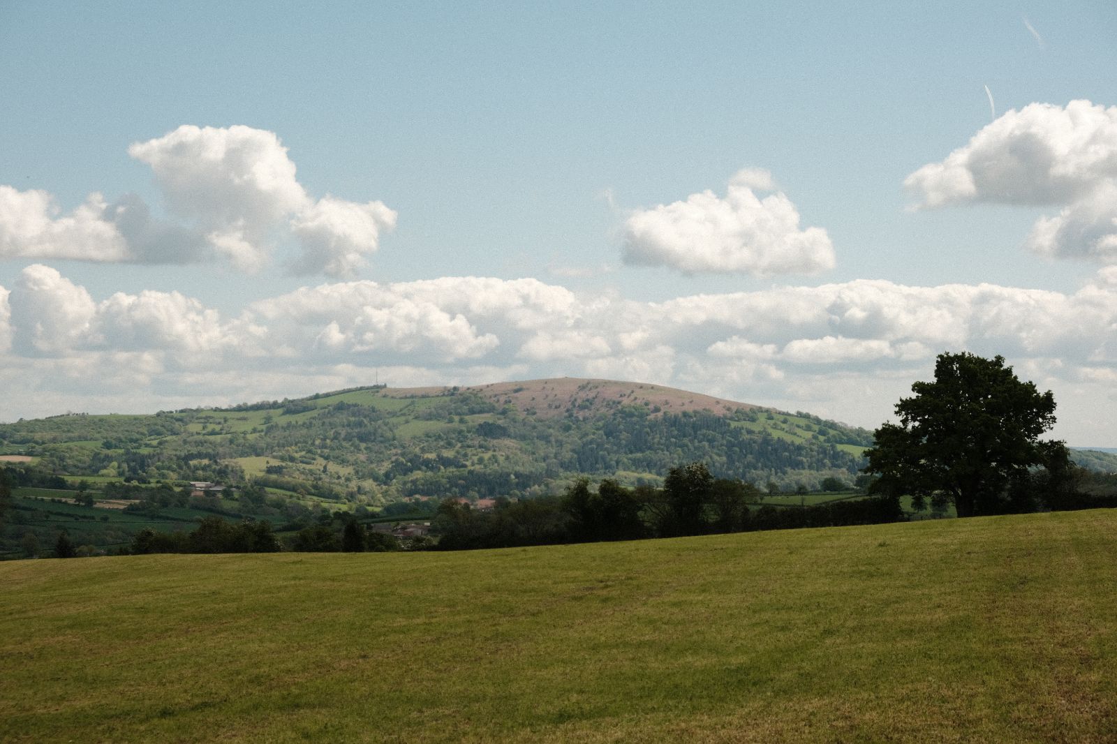 Landscape near Ewyas Harold