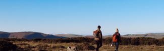 Hergest Ridge