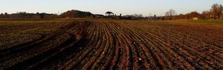 ploughed fields