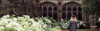 Woman walking past the hydrangeas at hereford cathedral