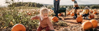 Pumpkin Pete's Ledbury