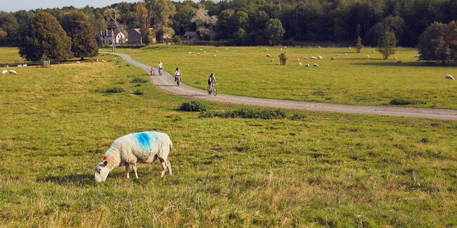 Cycling