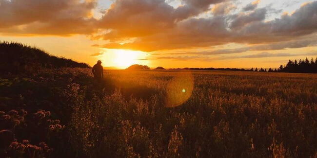 golden hour herefordshire