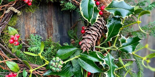 holly and berries in a fresh foliage Christmas wreath