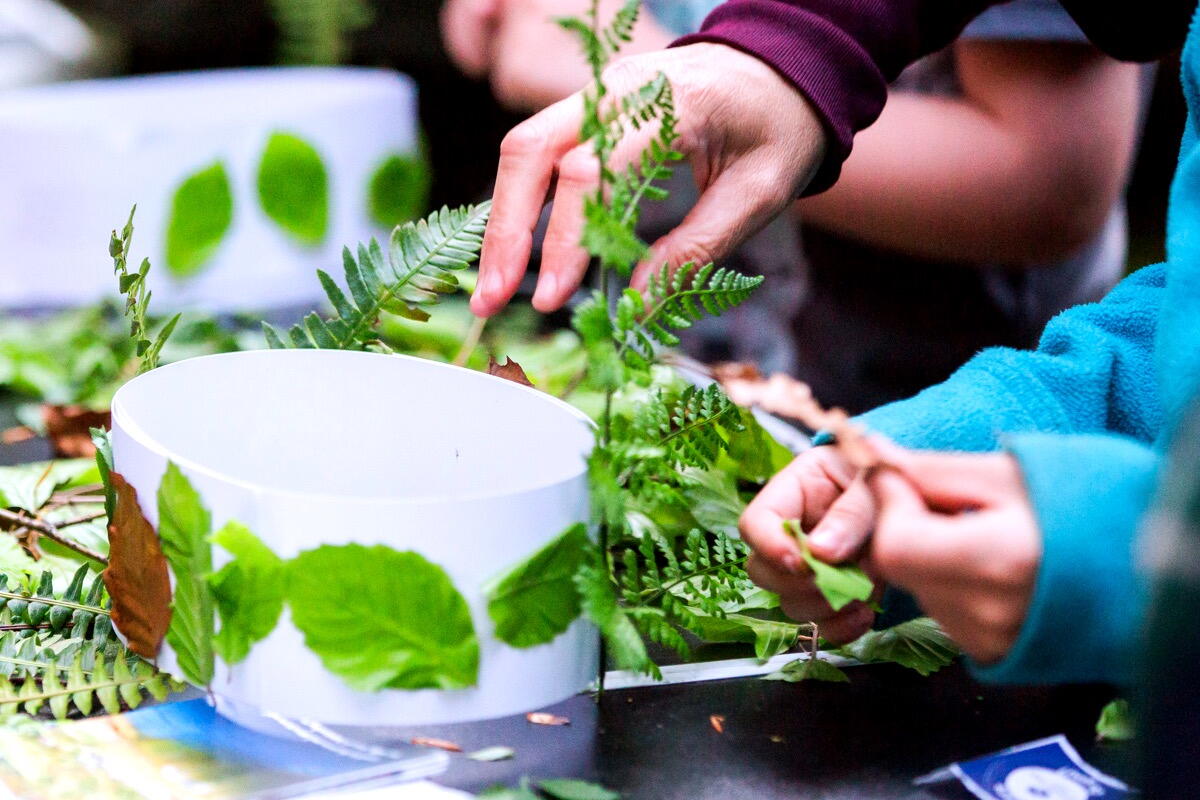 Crafting with Nature