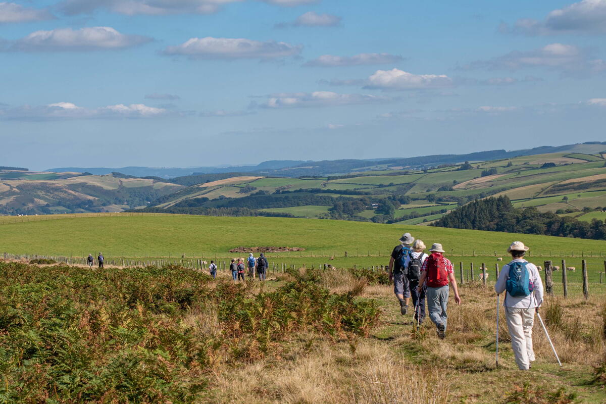 walkers enjoying the walk