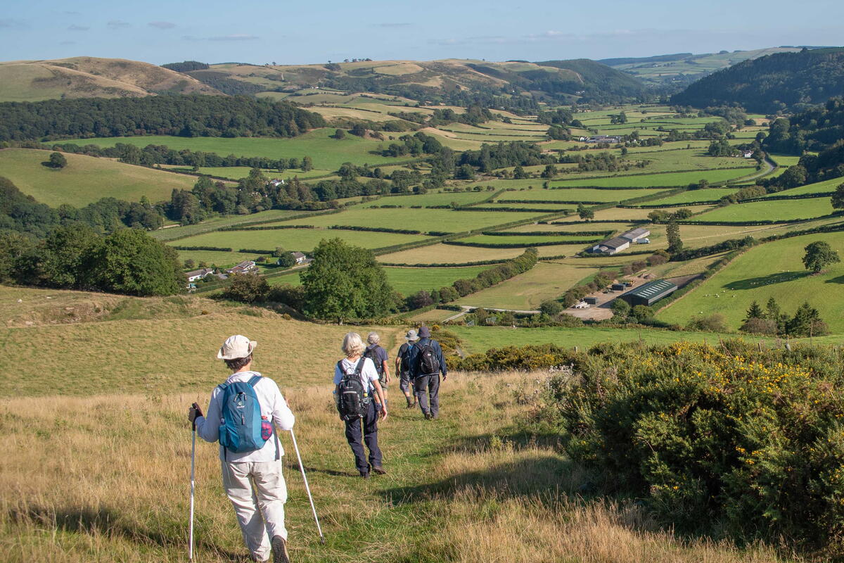 Walkers walking down a hill