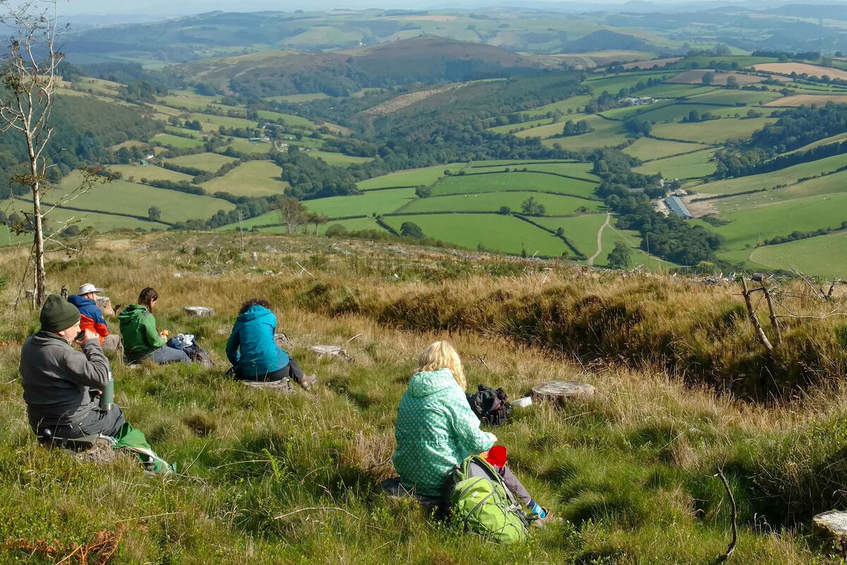 Walkers enjoying the view