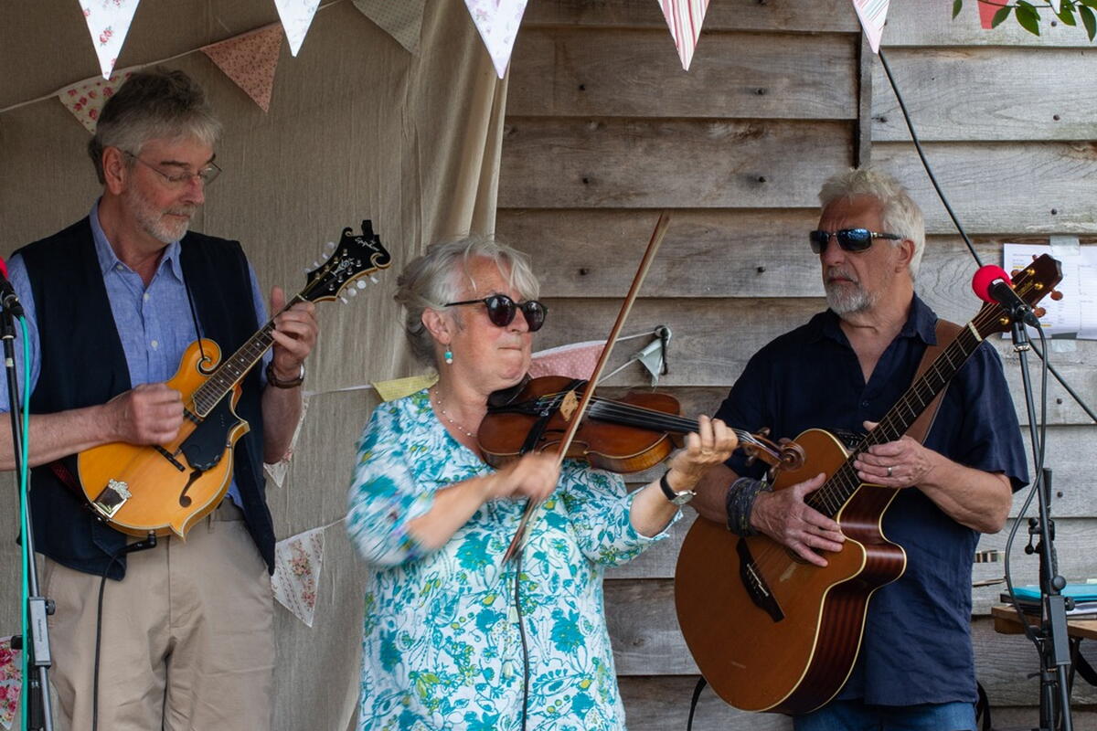 Musical Band Entertainment