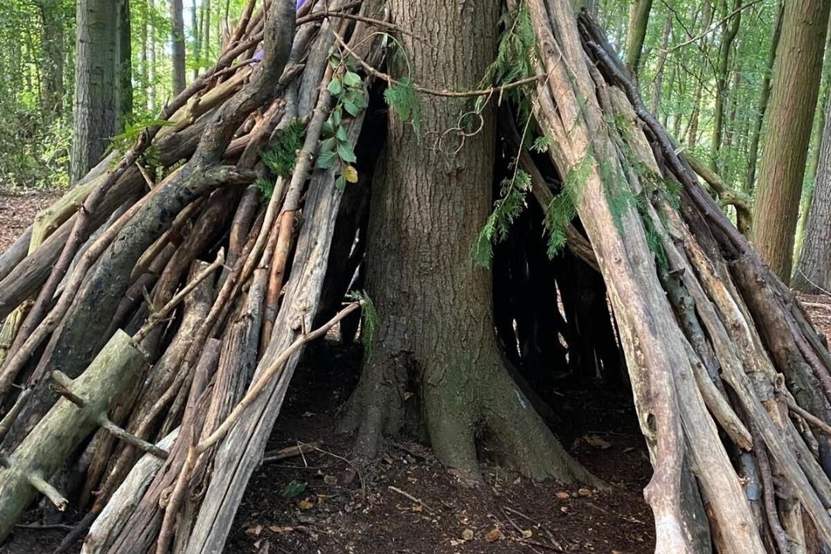 Den building 