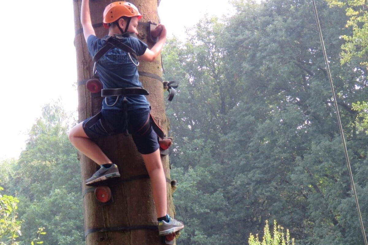 Tree Climbing