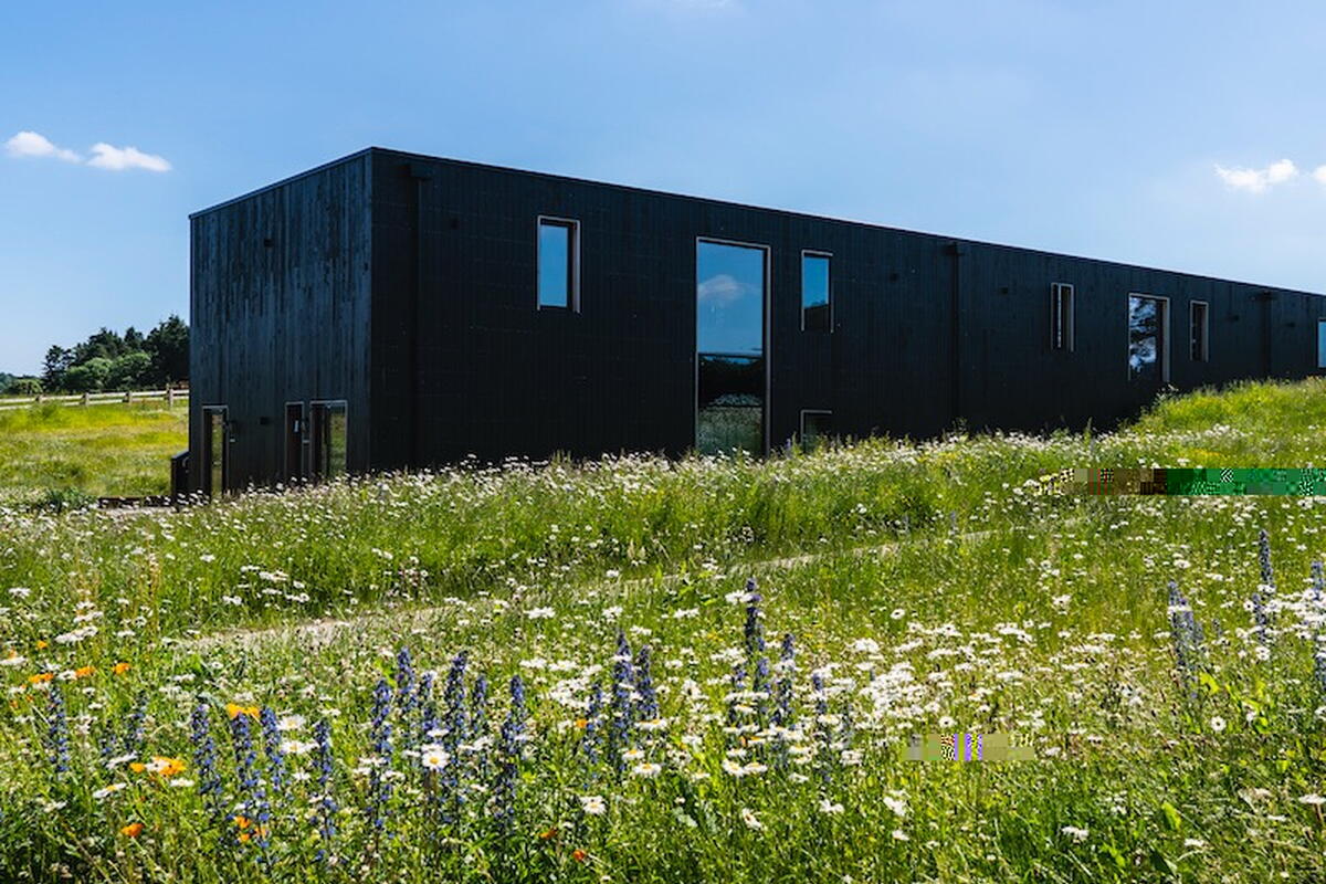 Beautiful accommodation in the Fields