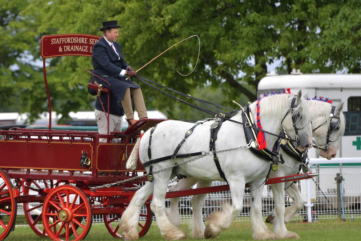 Horse and Carriage display