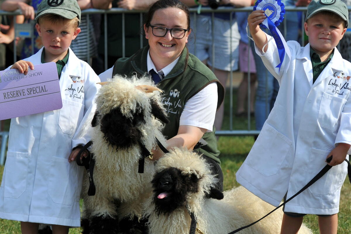 Young animal showers with their animals collecting rosettes 
