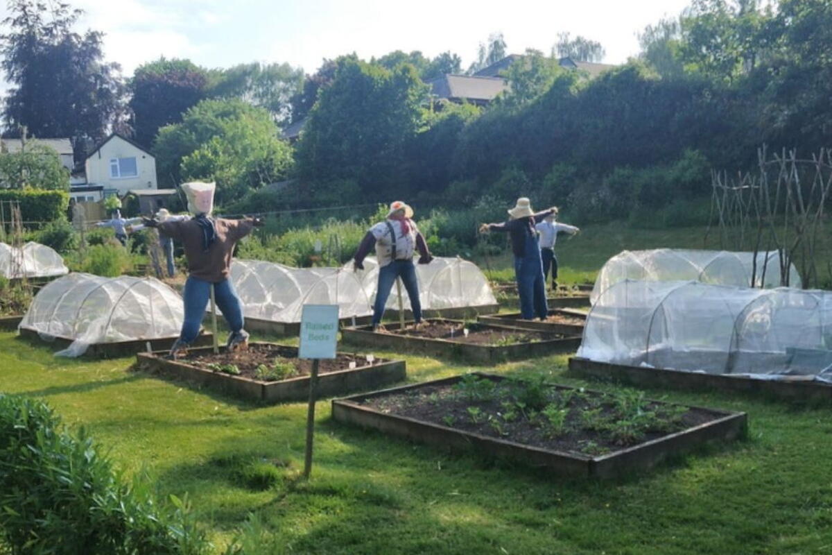 3x scarecrows in the fields