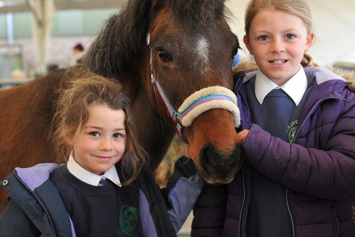 2 children with a horse
