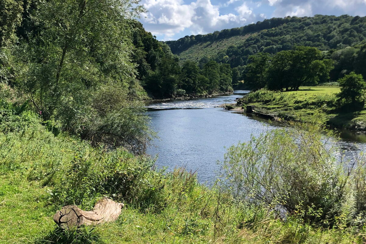 View of the river in the Wye Valley
