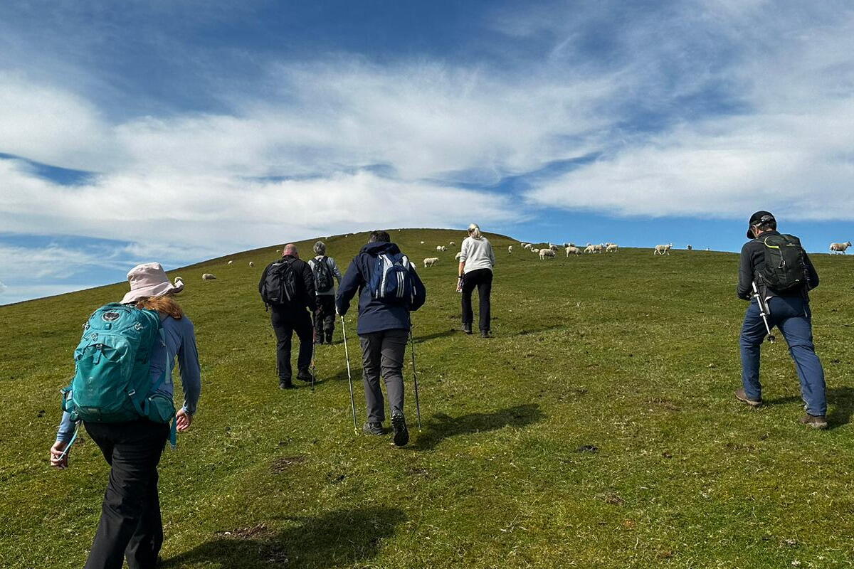 People walking up a hill