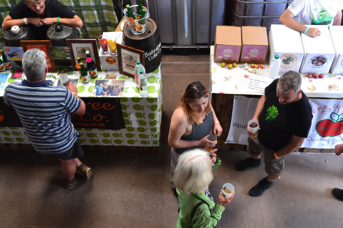 Cider tasting