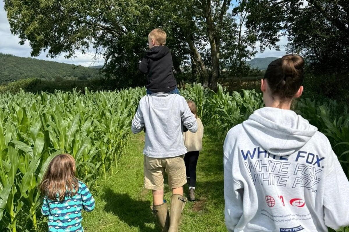 family in maize field