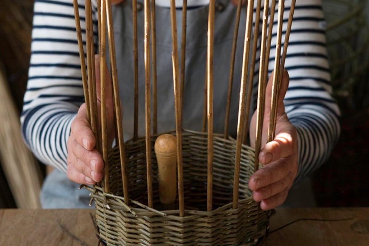 Person holding woven willow backet in the process of being made