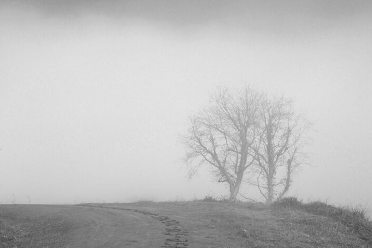 Monochrome photograph of country road and woodland