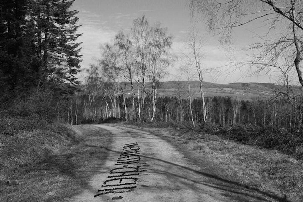 Monochrome photograph of woodland