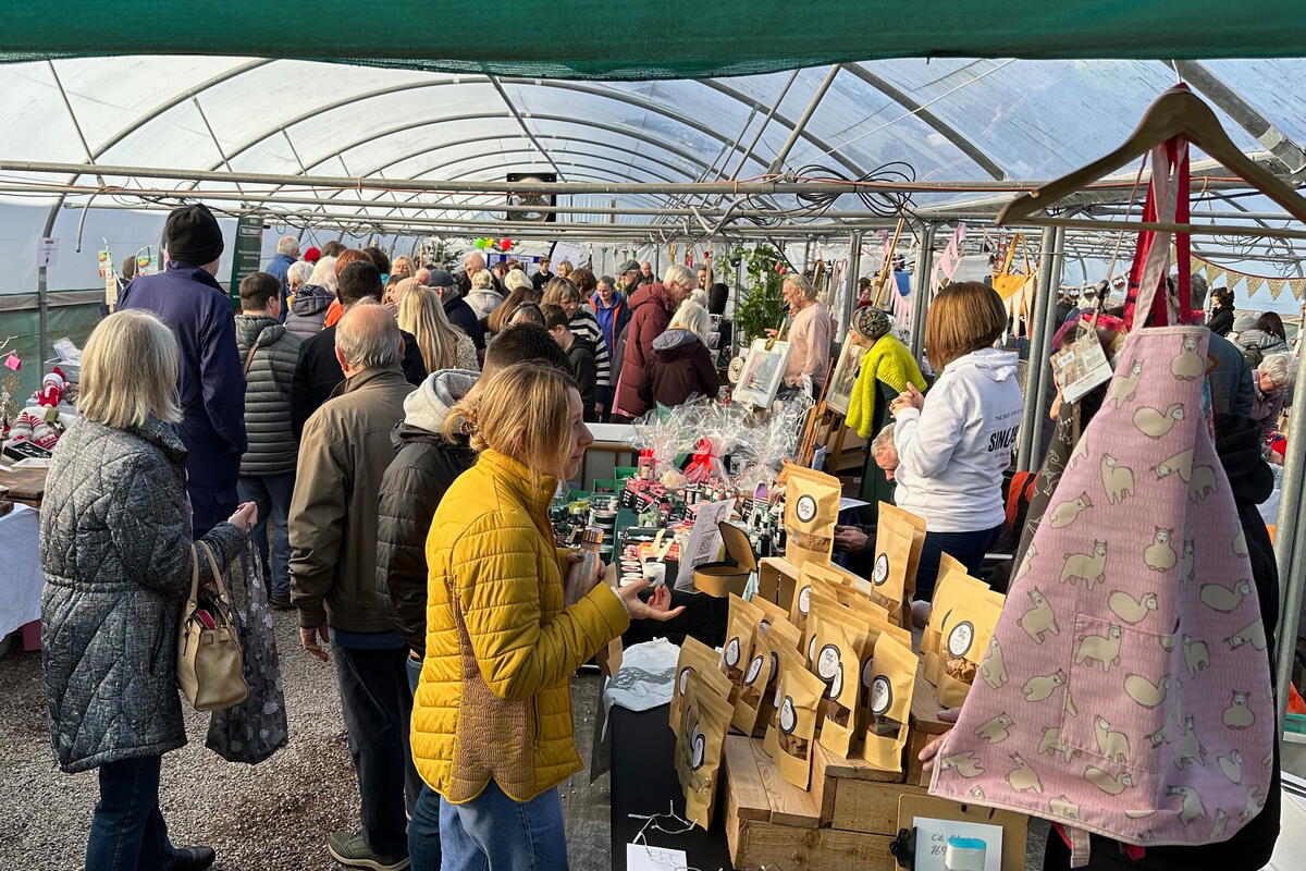 Market stalls under polytunnel 