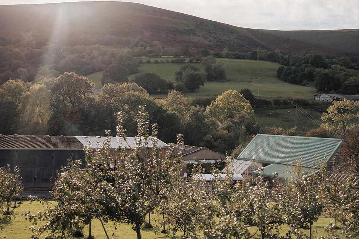 Landscape with fruit tree in foreground and hills in the background