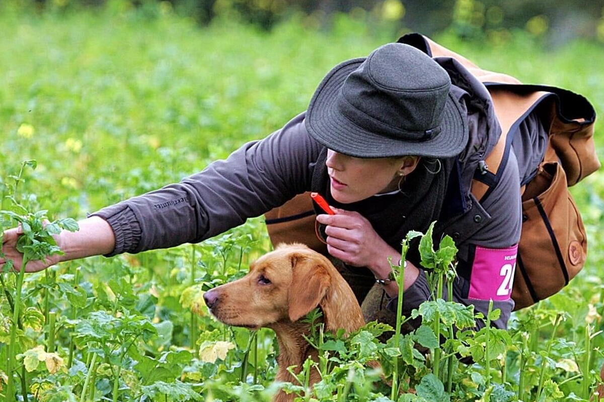 woman with gun dog
