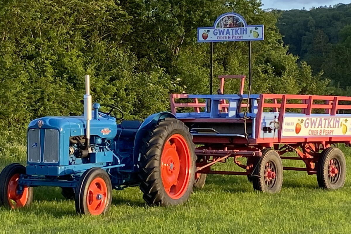 Old blue tractor with trailer for rides