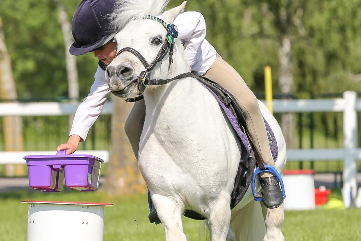 child on a white pony at event