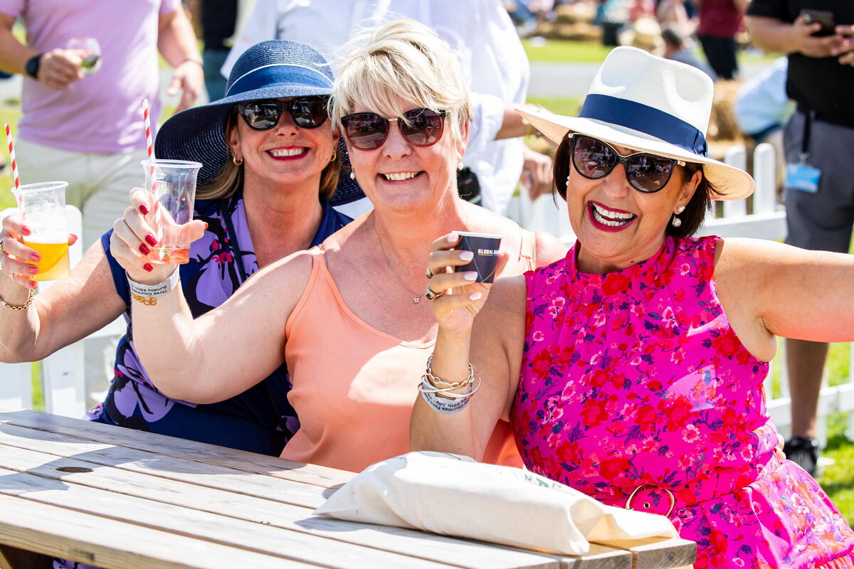 people sat at a picnic table raising glasses