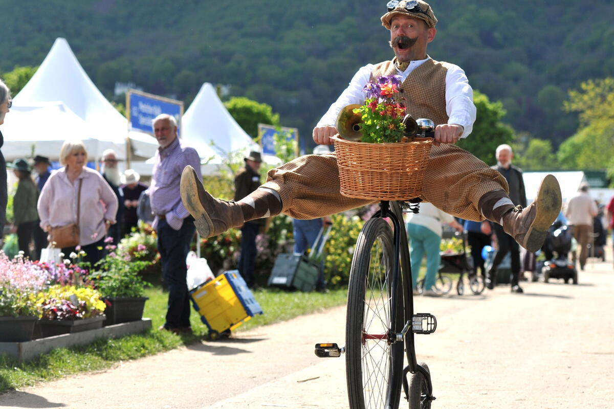 Man on a bicycle with feel in the air and flowers