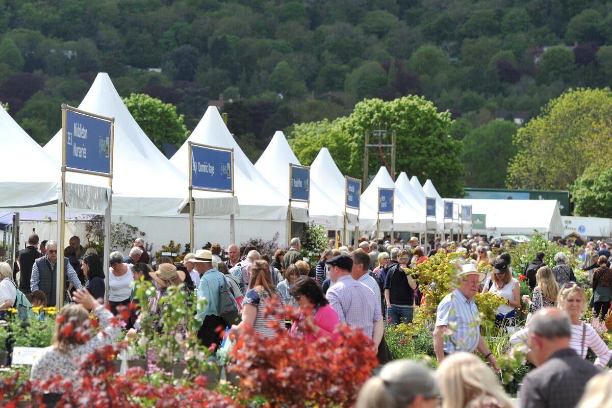Plants on sale with people shopping