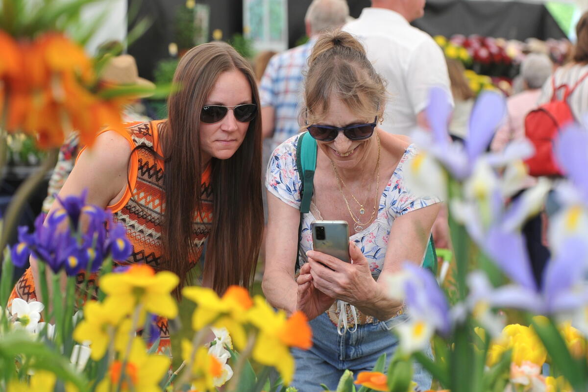 RHS Malvern flower show