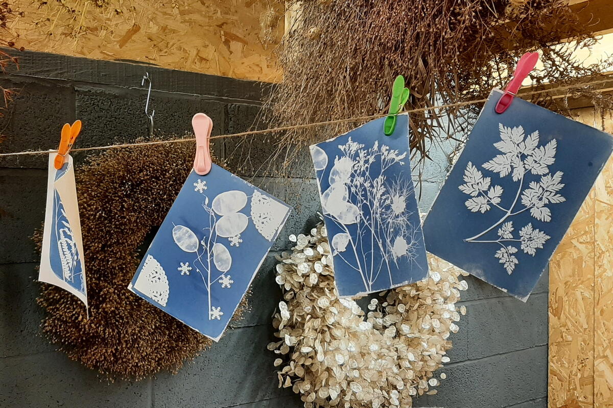 Cyanotype Workshops - results of the workshop