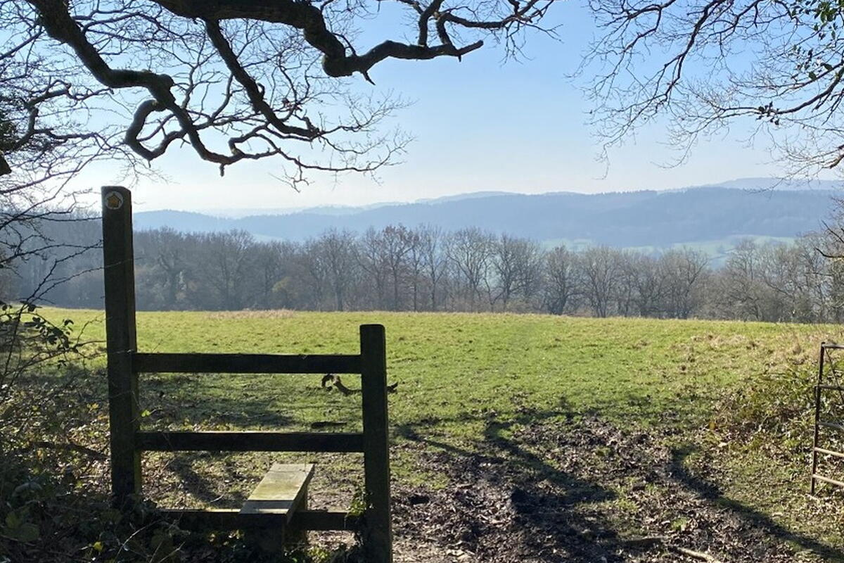 Countryside view 