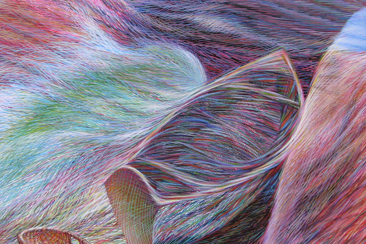 colourful line drawing of a shell-like shape