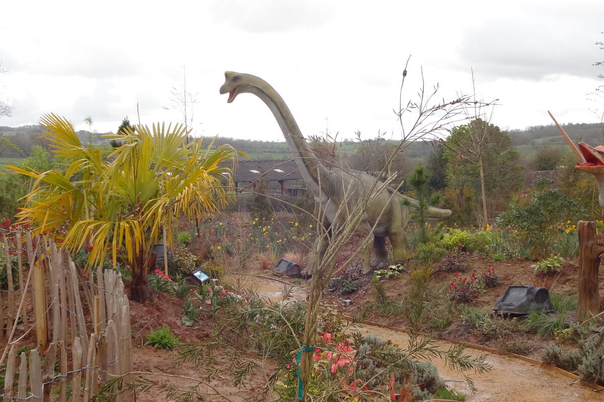 Brachiosaurus figure through plants