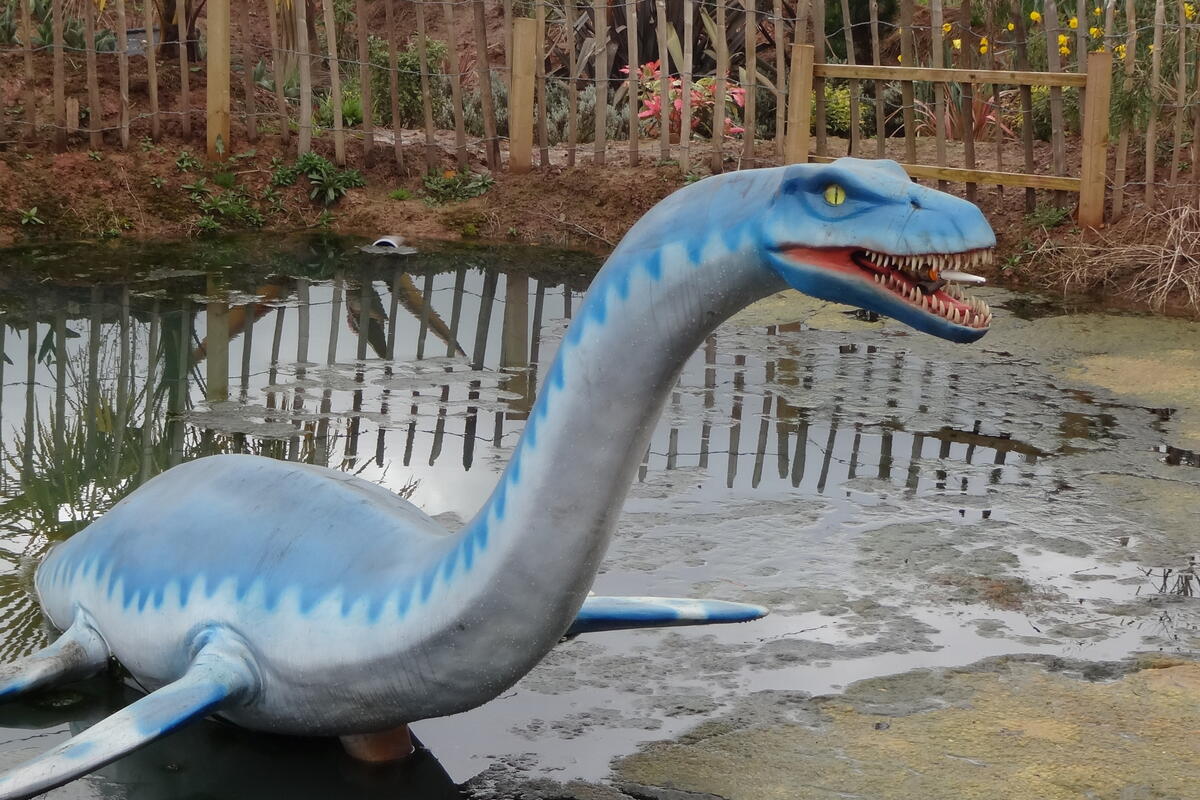 Plesiosaur model