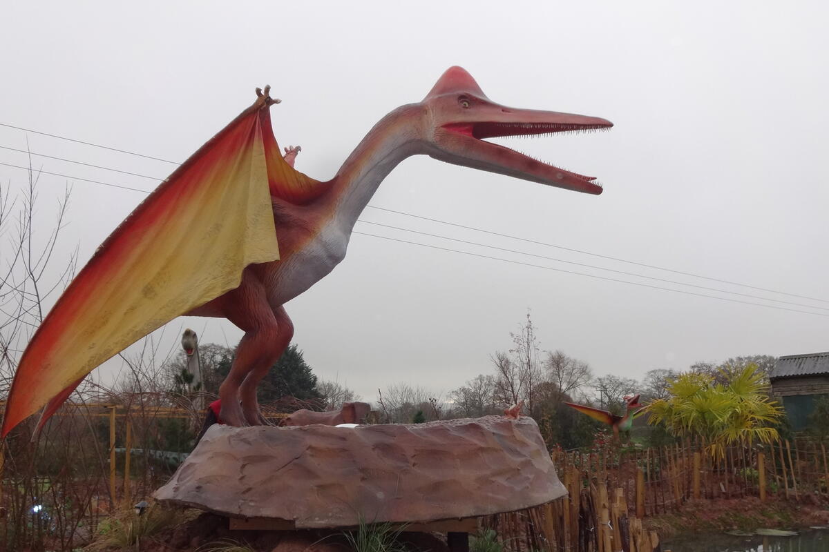 Pterosaur with nest