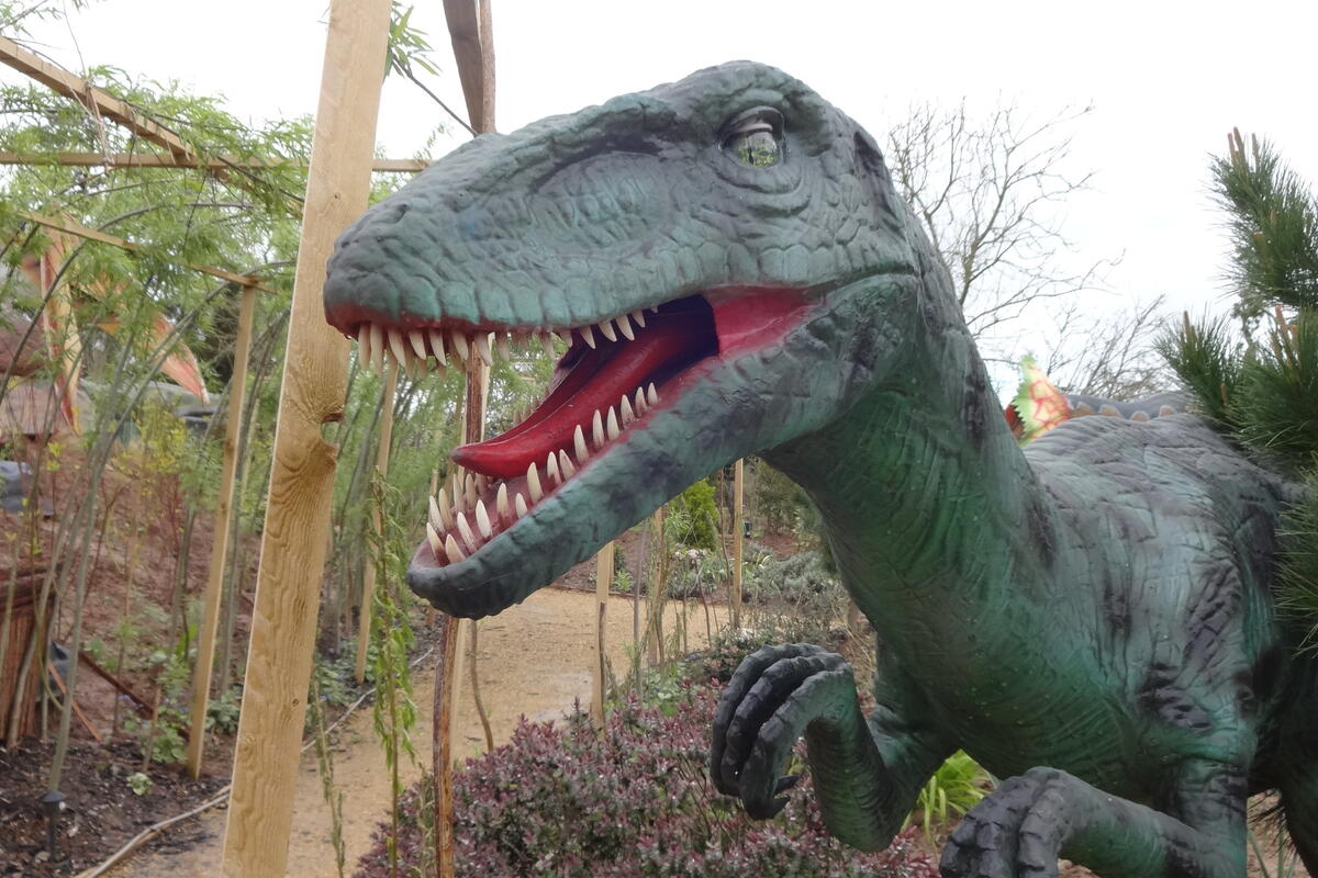 Velociraptor model
