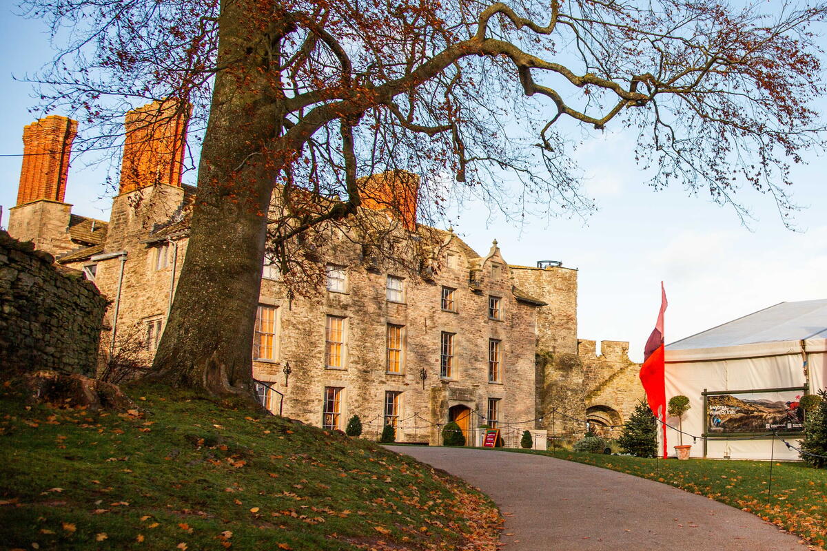 winter tree and large stone buildings