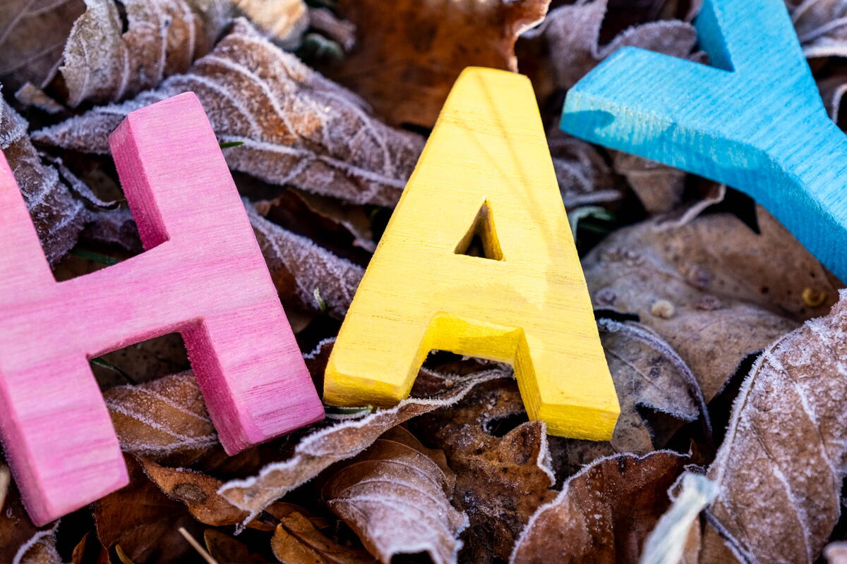 H A Y letters on a bed of autumn leaves