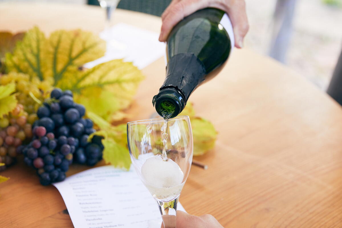 grapes on a table and wine people poured