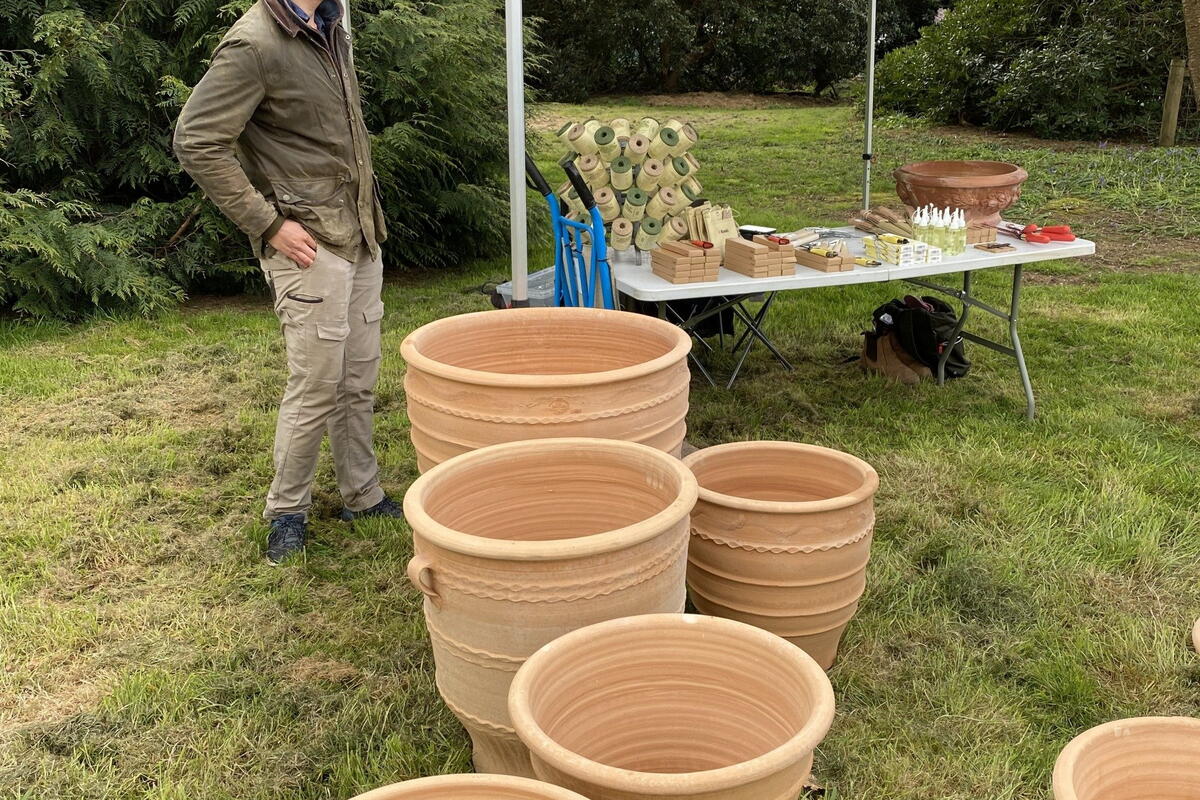 large terracotta plant pots 
